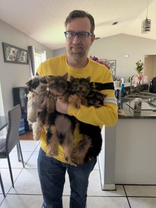 a man holding 4 yorkies